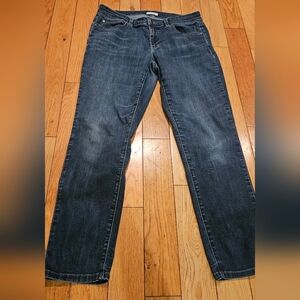 Eileen Fisher Indigo Denim Pants